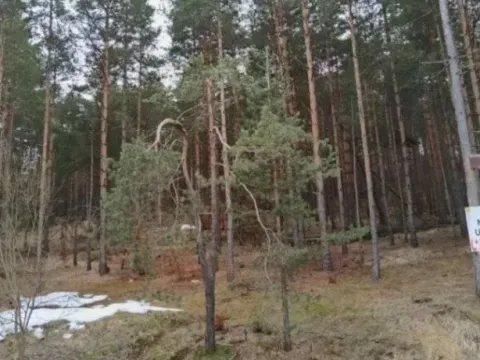 Sale, land lot, 1143m², Zlatibor, Srbija - image 1