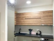 Prodaja, jednosoban stan, 49m², Central Point, Podgorica - image 5