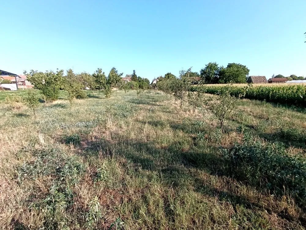 Sale, house, 200m², Čurug, Žabalj