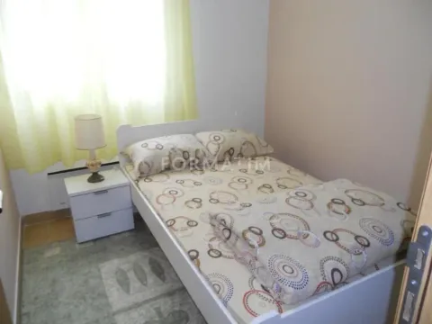 Izdavanje, jednosoban stan, 50m², Krnjaca, Palilula Sve Podlokacije - image 5