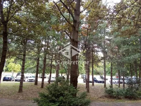 Izdavanje, četvorosoban stan, 84m², Bezanijska Kosa 2, Bežanijska Kosa Sve Podlokacije - image 33