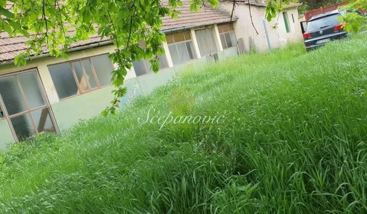 Prodaja, plac, 5298m², Čurug, Žabalj