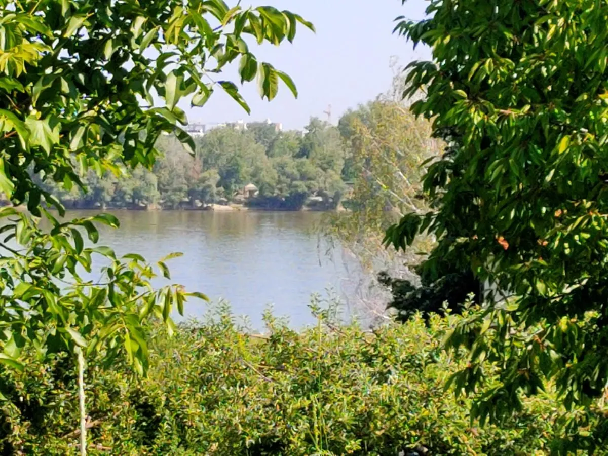 Sale, land lot, 800m², Sremska Kamenica, Petrovaradin