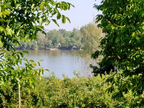 Sale, land lot, 8m², Sremska Kamenica, Petrovaradin