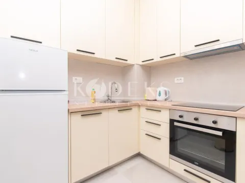 Izdavanje, jednosoban stan, 39m², Central Point, Podgorica - image 10