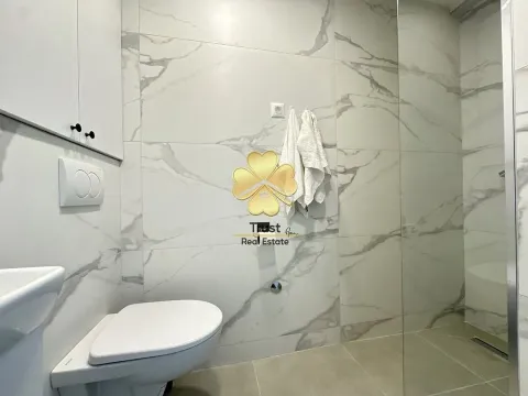 Izdavanje, jednosoban stan, 50m², Stari Aerodrom, Podgorica - image 12