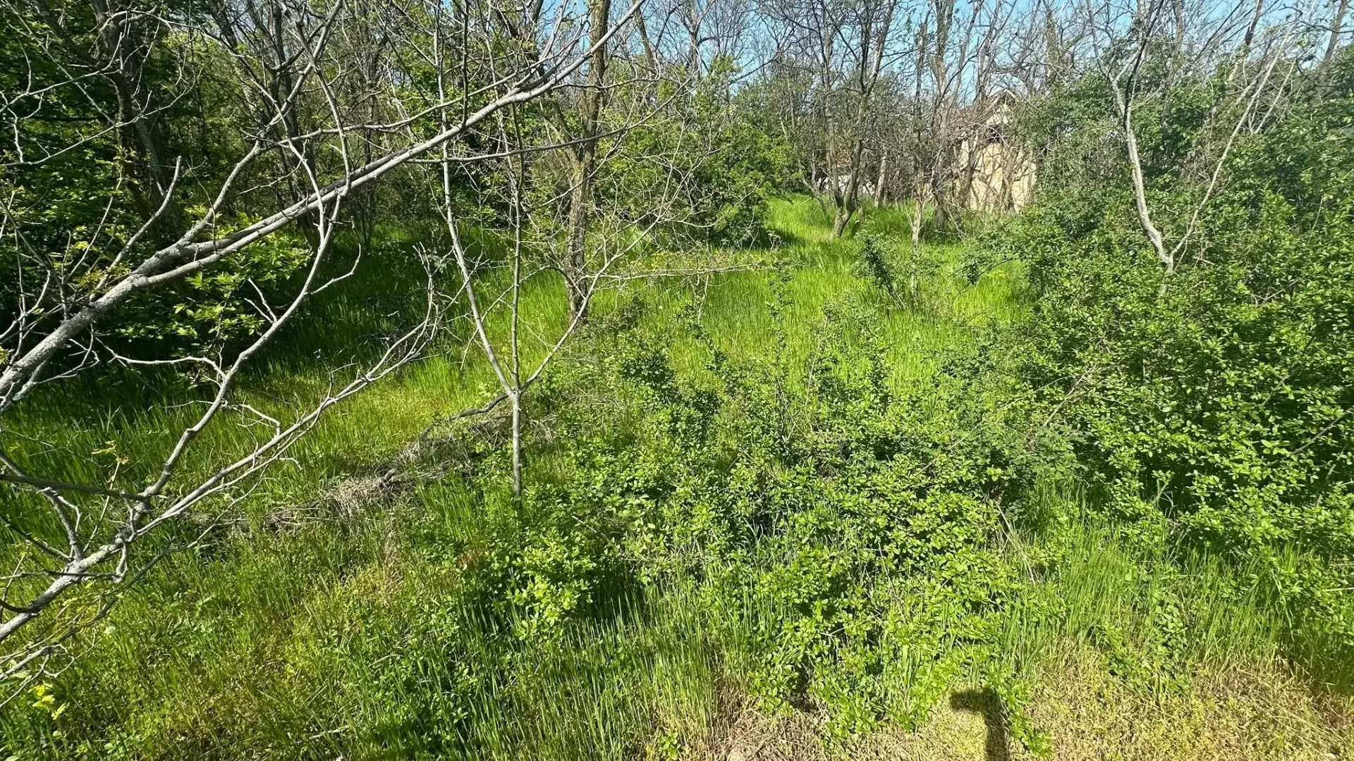 Prodaja, plac, 300m², Vršac, Srbija