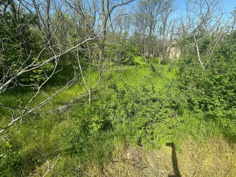 Prodaja, plac, 300m², Vršac, Srbija - image 7