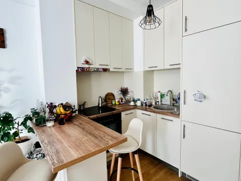 Sale, one bedroom apartment, 42m², Rozino, Budva - image 5