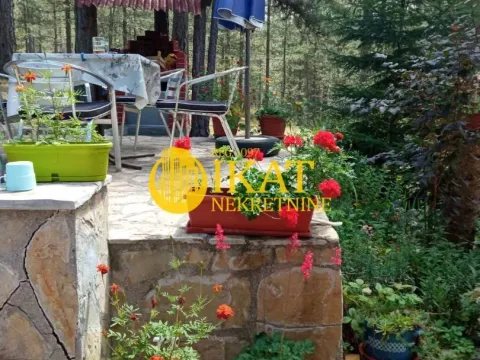 Sale, house, 170m², Tara, Srbija - image 4