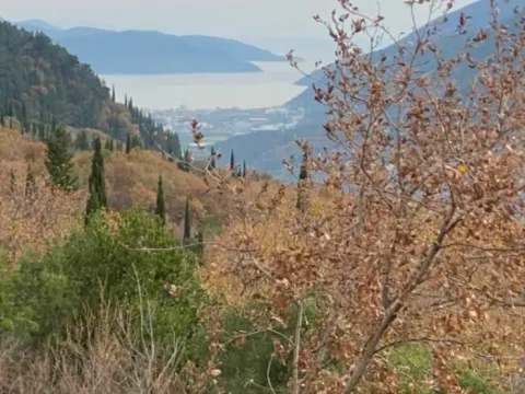 Izdavanje, dvosoban stan, 40m², Prijevor, Herceg Novi - image 2