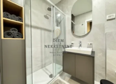 Izdavanje, jednosoban stan, 50m², Central Point, Podgorica - image 4