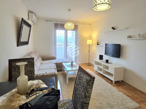 Izdavanje, jednosoban stan, 45m², Stari Aerodrom, Podgorica - image 3