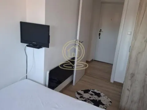 Izdavanje, jednosoban stan, 34m², Zemun Sve Podlokacije, Beograd - image 11