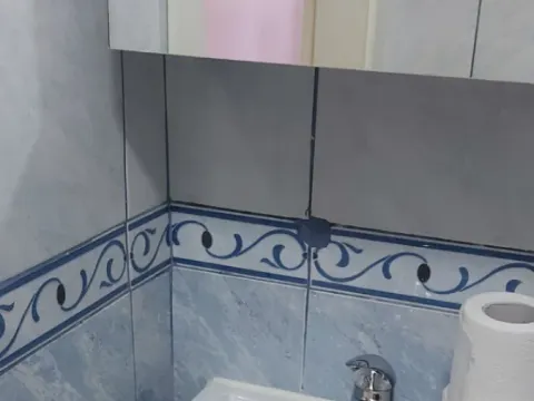 Prodaja, dvosoban stan, 48m², Satelit, Novi Sad Sve Podlokacije - image 5