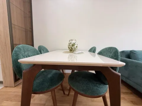 Izdavanje, jednosoban stan, 45m², Zabjelo, Podgorica - image 3