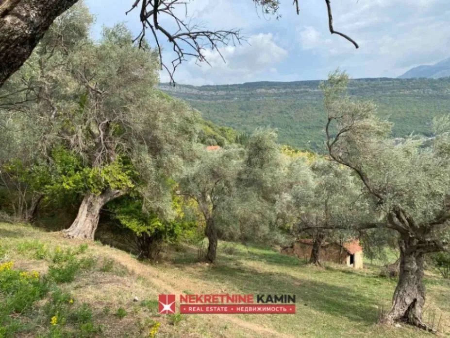 Prodaja, plac, 9000m², Mrčevac, Tivat