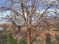 Prodaja, plac, Ritopek, Grocka - image 2