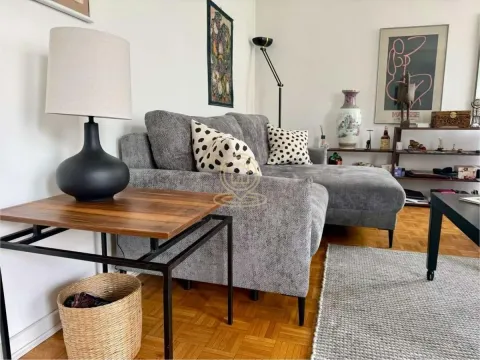 Izdavanje, dvosoban stan, 55m², Vračar Sve Podlokacije, Beograd - image 2