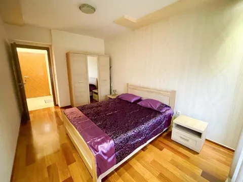 Izdavanje, jednosoban stan, 60m², Centar, Podgorica - image 2