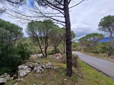 Prodaja, plac, 1150m², Zagora, Kotor - image 6