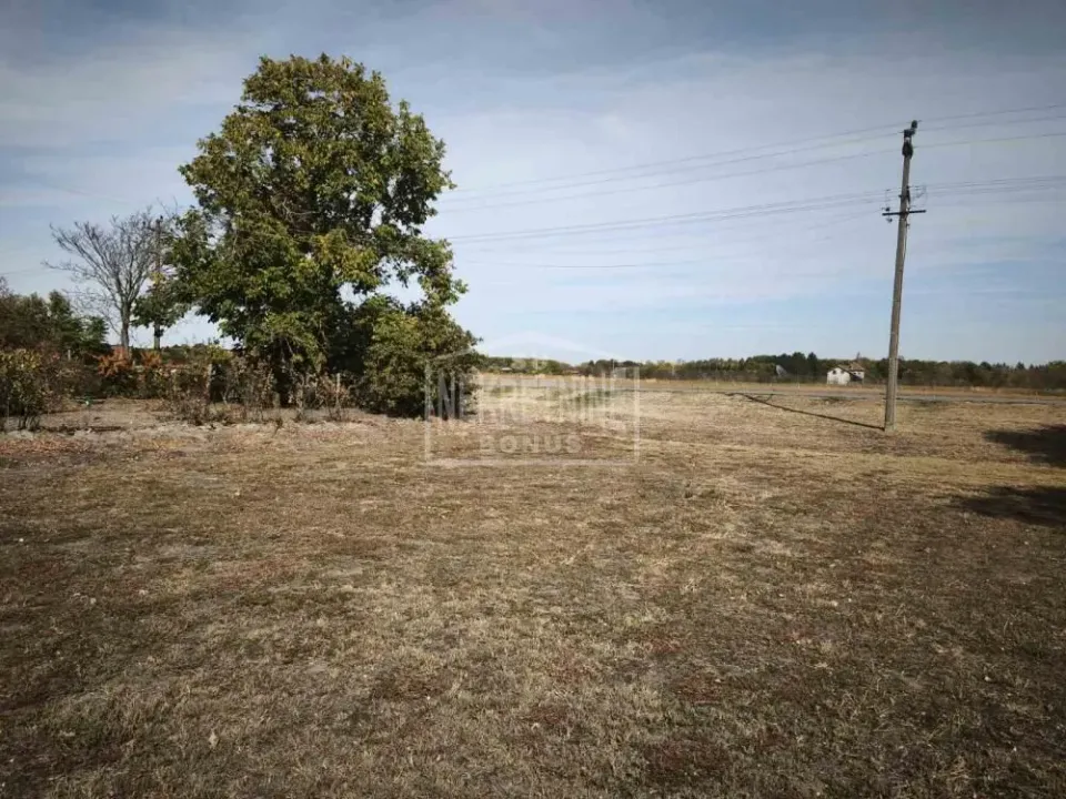 Prodaja, plac, 9717m², Kelebija, Subotica