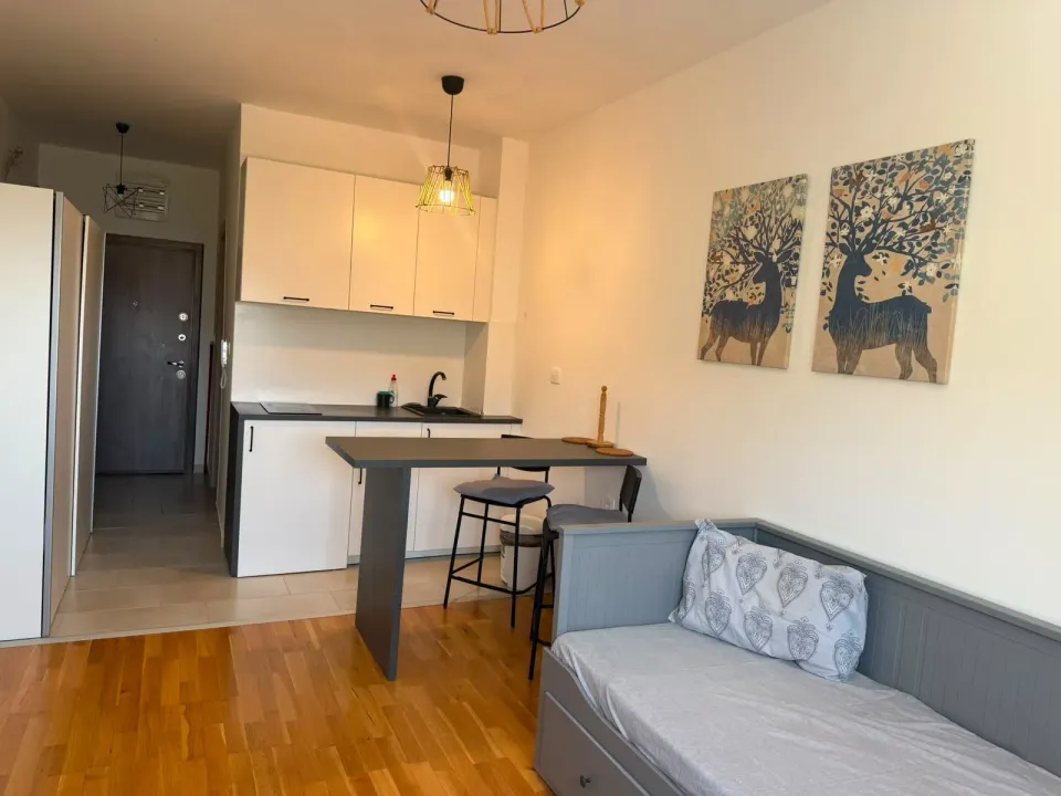 Izdavanje, garsonjera, 20m², Mainski Put, Budva
