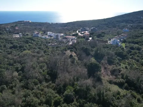 Prodaja, plac, 2450m², Krimovica, Kotor - image 23