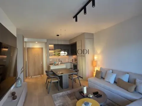 Izdavanje, dvosoban stan, 54m², Savski Venac, Beograd - image 4