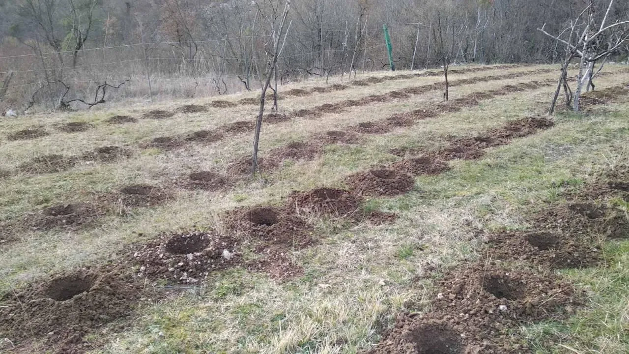 Prodaja, kuća, 180m², Danilovgrad, Crna Gora