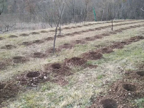 Sale, house, 180m², Danilovgrad, Crna Gora - image 5