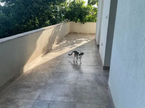 Izdavanje, jednosoban stan, 60m², Malo Brdo, Podgorica - image 11