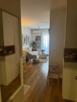 Izdavanje, jednosoban stan, 40m², Central Point, Podgorica - image 10