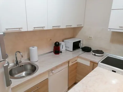 Rent, one bedroom apartment, 50m², Preko Morače, Podgorica - image 6