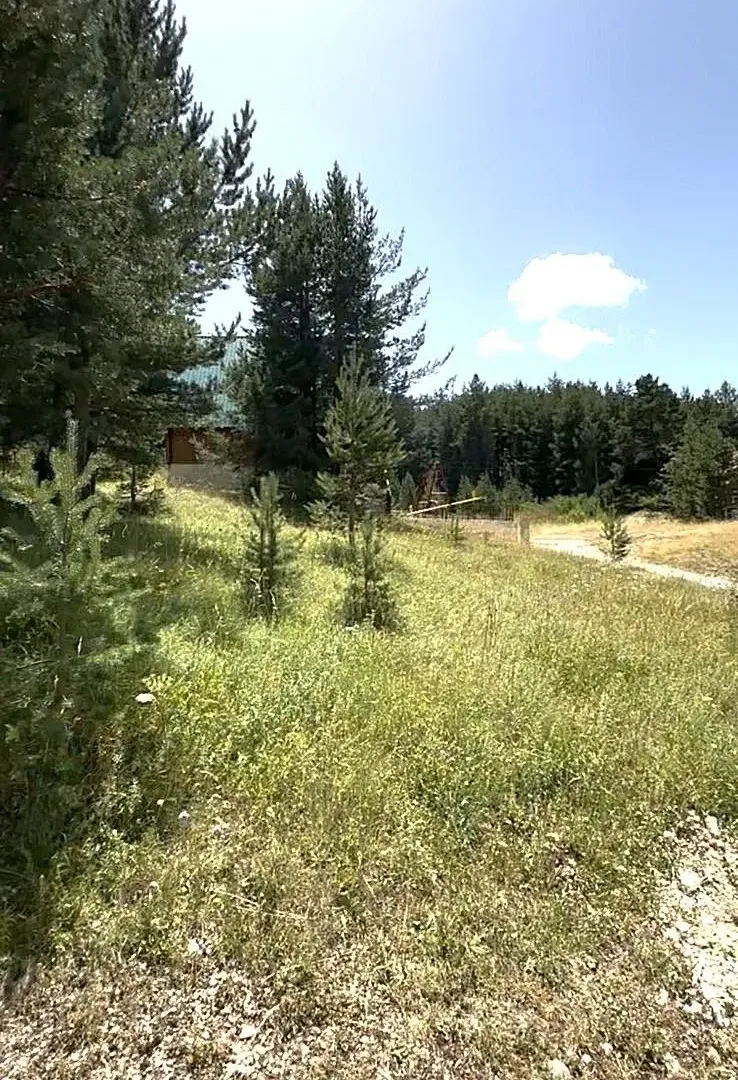 Prodaja, plac, 1724m², Borje, Žabljak