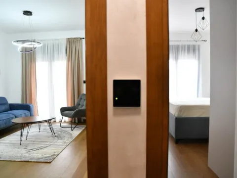 Rent, one bedroom apartment, 50m², Ljubović, Podgorica - image 6