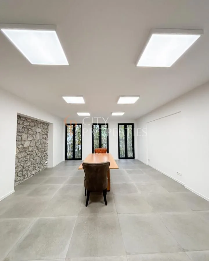 Izdavanje, poslovni prostor, 120m², Centar, Podgorica