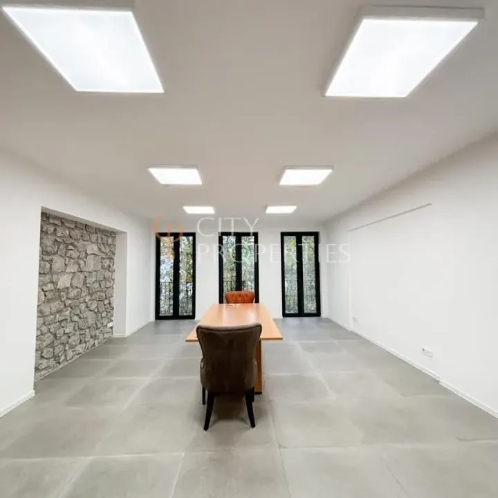 Izdavanje, poslovni prostor, 120m², Centar, Podgorica