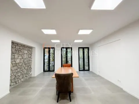 Izdavanje, poslovni prostor, 120m², Centar, Podgorica - image 1