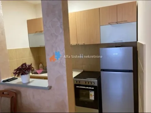 Izdavanje, stan, 40m², Vračar Sve Podlokacije, Beograd - image 7