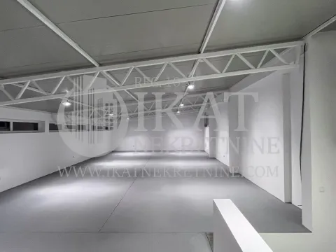 Izdavanje, poslovni prostor, 300m², Zemun Sve Podlokacije, Beograd - image 5