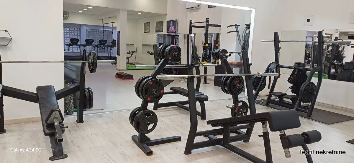 Prodaja, poslovni prostor, 1000m², Vračar, Šid
