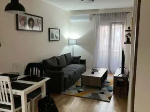 Izdavanje, jednosoban stan, 42m², Central Point, Podgorica - image 3