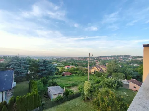 Sale, land lot, 1000m², Sremska Kamenica, Petrovaradin - image 5