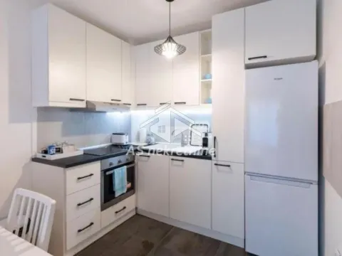 Rent, two bedroom apartment, 43m², Novi Beograd Sve Podlokacije, Beograd - image 11