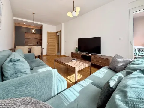 Rent, one bedroom apartment, 45m², New City, Podgorica - image 1