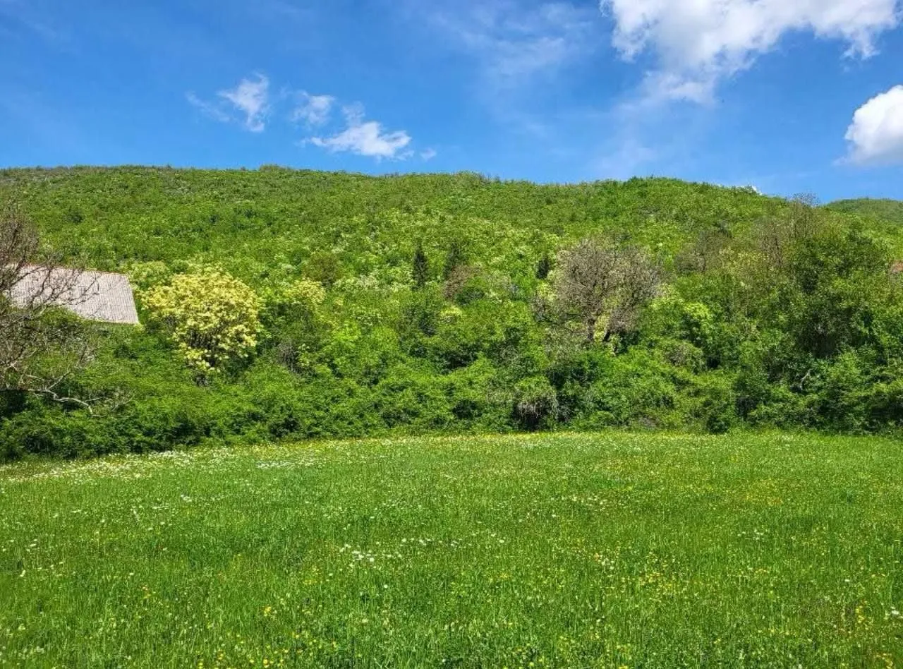 Prodaja, plac, 160000m², Centar, Nikšić