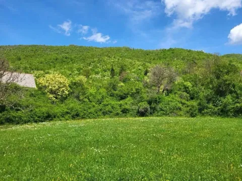 Prodaja, plac, 160000m², Centar, Nikšić - image 4