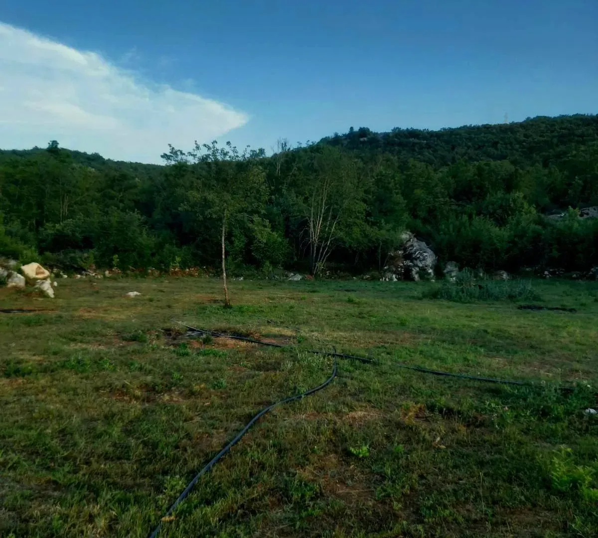 Prodaja, plac, 4000m², Cetinje, Crna Gora