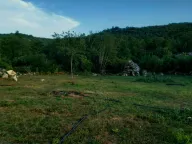 Prodaja, plac, 4000m², Cetinje, Crna Gora - image 4